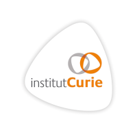 Logo institut Curie - A partner of Emglev - single domain antibodies company